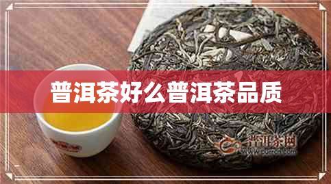 普洱茶好么普洱茶品质