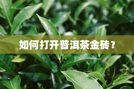 如何打开普洱茶金砖？