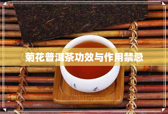 菊花普洱茶功效与作用禁忌