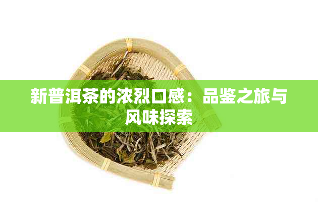 新普洱茶的浓烈口感：品鉴之旅与风味探索