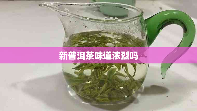 新普洱茶味道浓烈吗