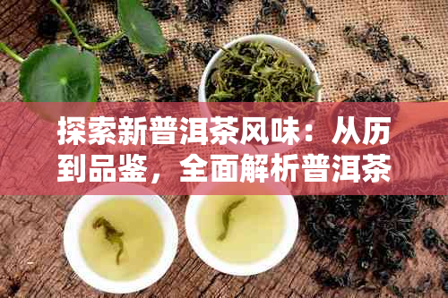 探索新普洱茶风味：从历到品鉴，全面解析普洱茶的独特口感