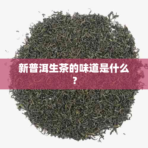 新普洱生茶的味道是什么？