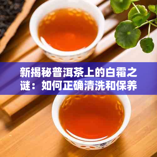 新揭秘普洱茶上的白霜之谜：如何正确清洗和保养普洱茶