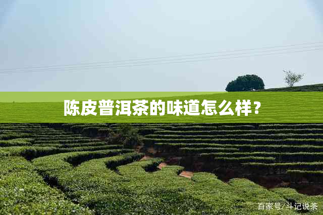 陈皮普洱茶的味道怎么样？