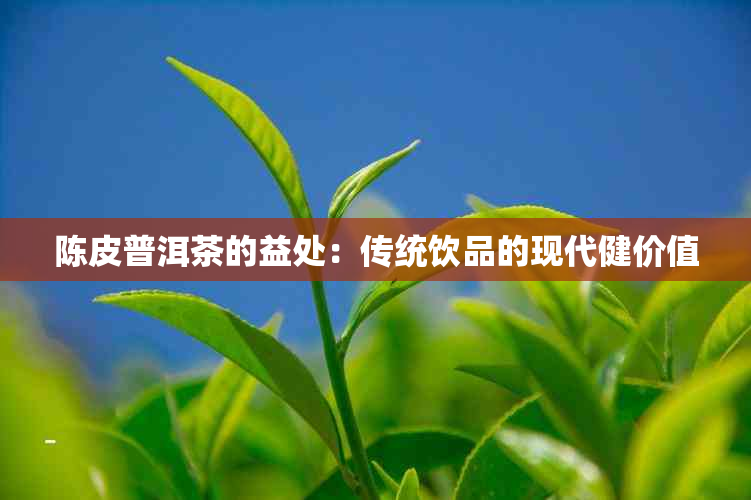 陈皮普洱茶的益处：传统饮品的现代健价值