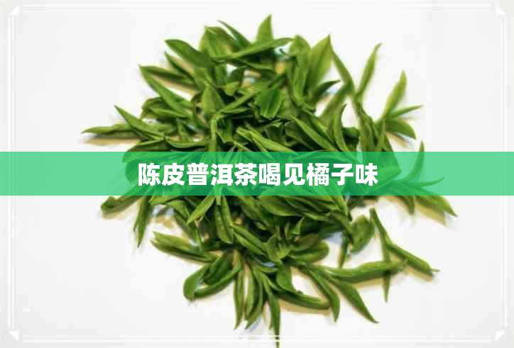 陈皮普洱茶喝见橘子味