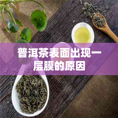 普洱茶表面出现一层膜的原因