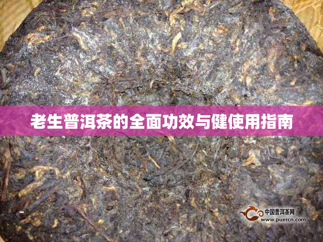 老生普洱茶的全面功效与健使用指南