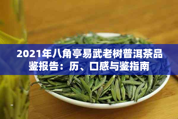 2021年八角亭易武老树普洱茶品鉴报告：历、口感与鉴指南