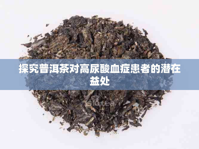 探究普洱茶对高尿酸血症患者的潜在益处