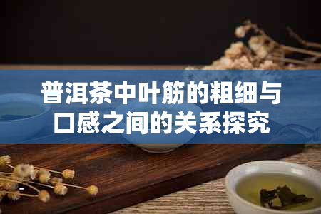 普洱茶中叶筋的粗细与口感之间的关系探究