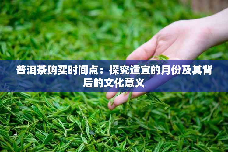 普洱茶购买时间点：探究适宜的月份及其背后的文化意义