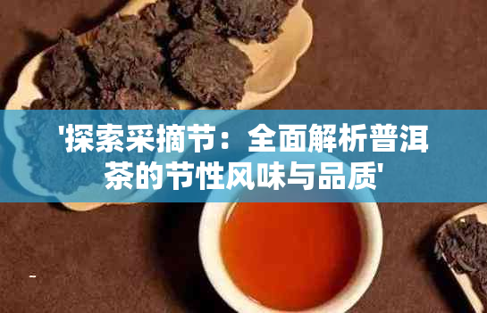 '探索采摘节：全面解析普洱茶的节性风味与品质'