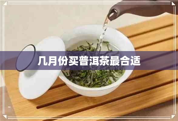 几月份买普洱茶最合适