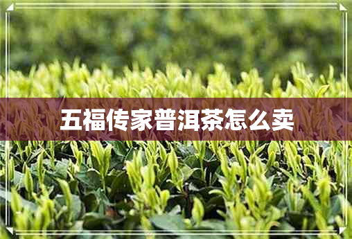 五福传家普洱茶怎么卖