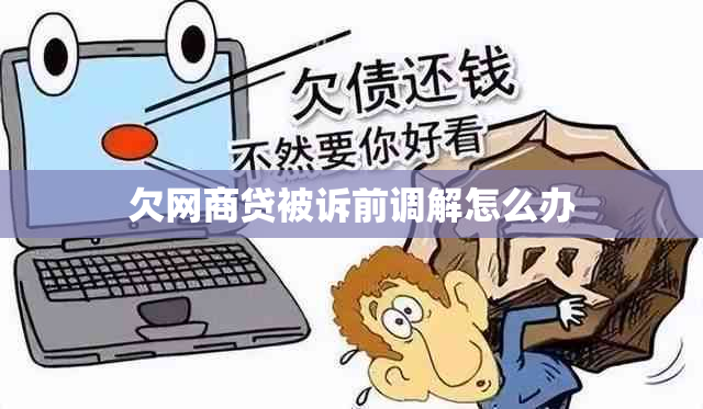 欠网商贷被诉前调解怎么办