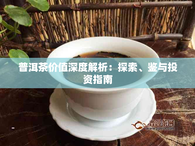 普洱茶价值深度解析：探索、鉴与投资指南