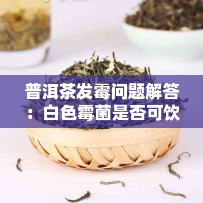 普洱茶发霉问题解答：白色霉菌是否可饮用？