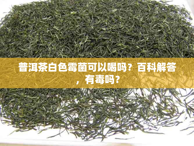 普洱茶白色霉菌可以喝吗？百科解答，有吗？