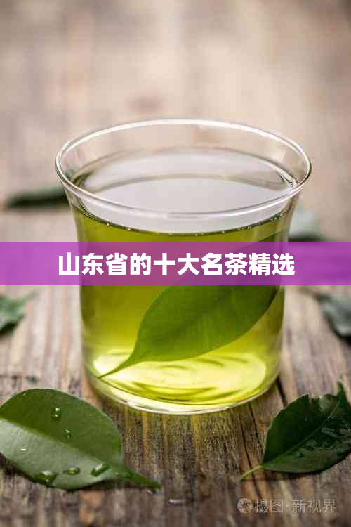 山东省的十大名茶精选