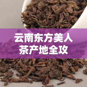 云南东方美人茶产地全攻略：探索普洱茶的奥秘与品鉴艺术