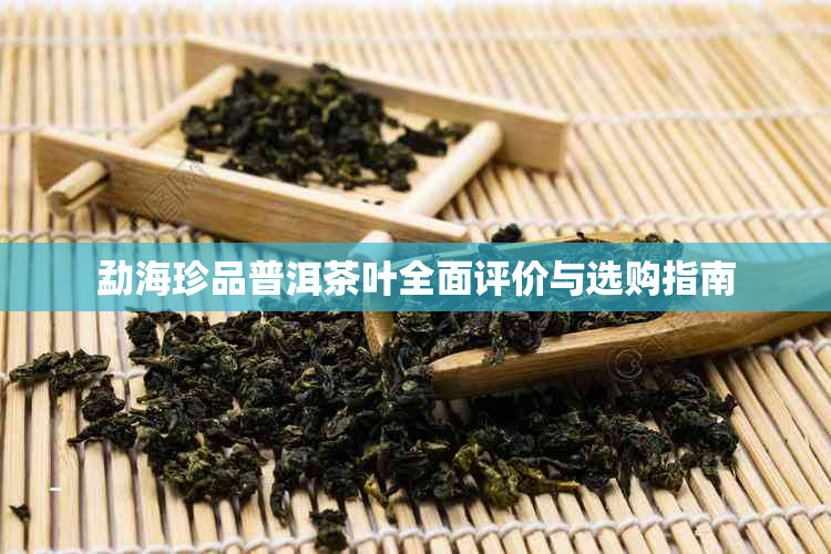 勐海珍品普洱茶叶全面评价与选购指南