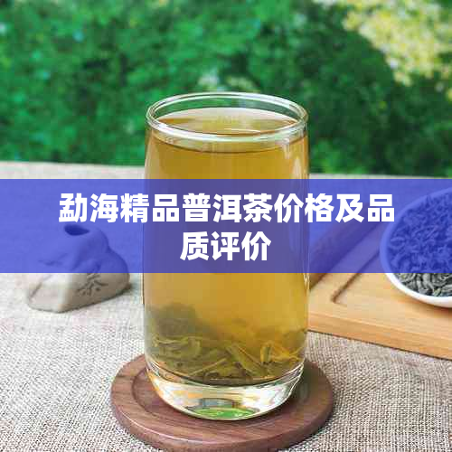 勐海精品普洱茶价格及品质评价