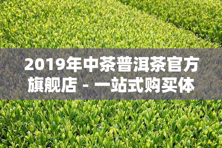 2019年中茶普洱茶官方旗舰店 - 一站式购买体验