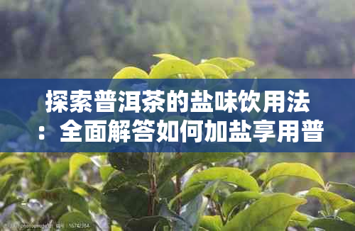 探索普洱茶的盐味饮用法：全面解答如何加盐享用普洱茶