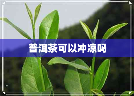 普洱茶可以冲凉吗