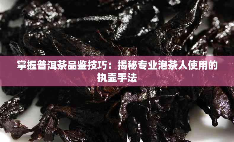 掌握普洱茶品鉴技巧：揭秘专业泡茶人使用的执壶手法