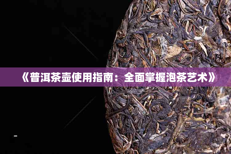 《普洱茶壶使用指南：全面掌握泡茶艺术》