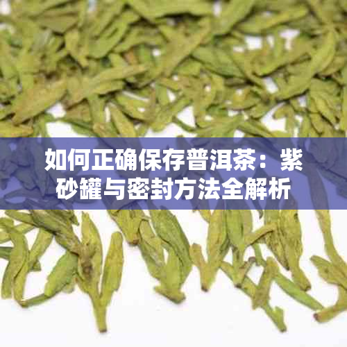 如何正确保存普洱茶：紫砂罐与密封方法全解析