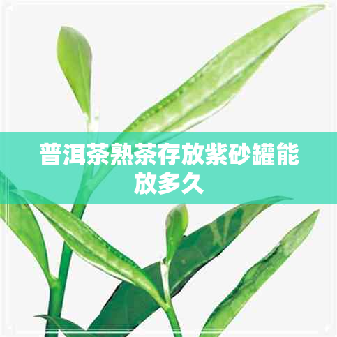 普洱茶熟茶存放紫砂罐能放多久