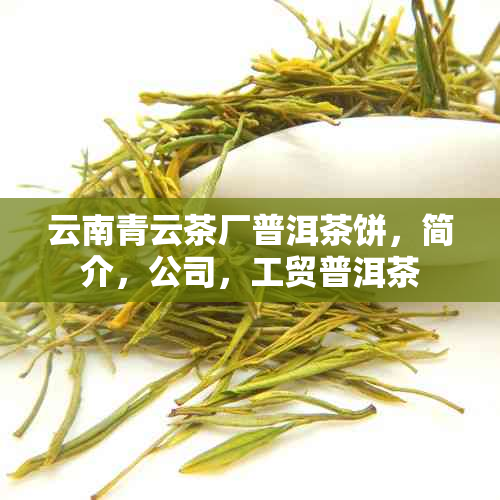 云南青云茶厂普洱茶饼，简介，公司，工贸普洱茶