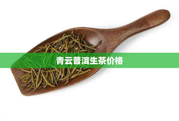 青云普洱生茶价格