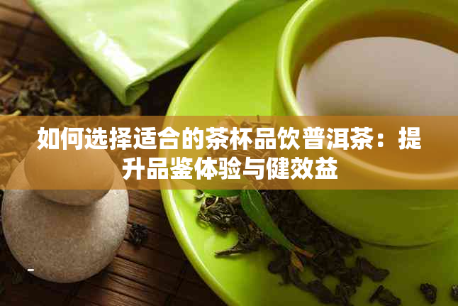 如何选择适合的茶杯品饮普洱茶：提升品鉴体验与健效益