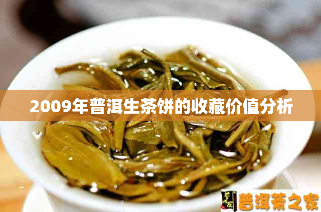 2009年普洱生茶饼的收藏价值分析