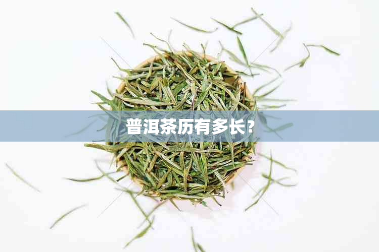 普洱茶历有多长？