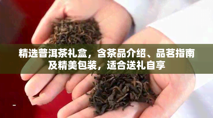 2024贺岁普洱茶礼(图5)