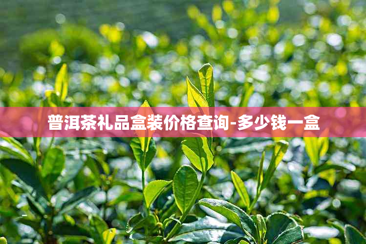 2024贺岁普洱茶礼(图4)