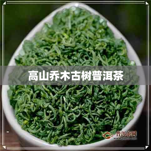 高山乔木古树普洱茶