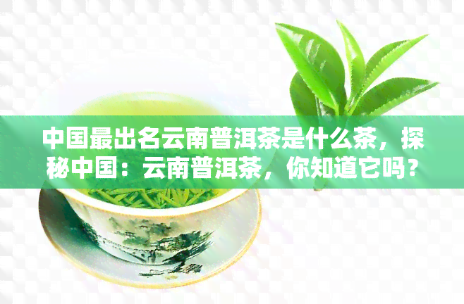 中国最出名云南普洱茶是什么茶，探秘中国：云南普洱茶，你知道它吗？