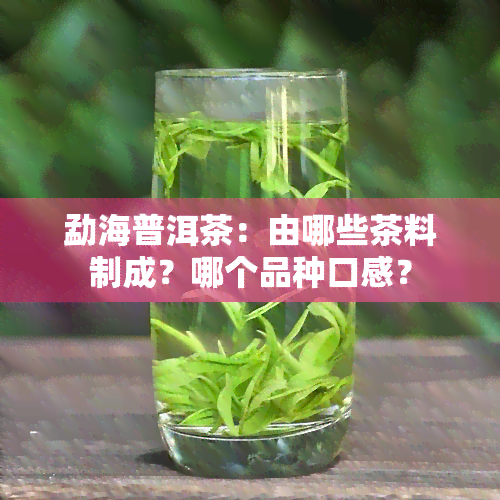 勐海普洱茶：由哪些茶料制成？哪个品种口感？