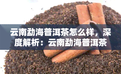 云南勐海普洱茶怎么样，深度解析：云南勐海普洱茶的品质与口感