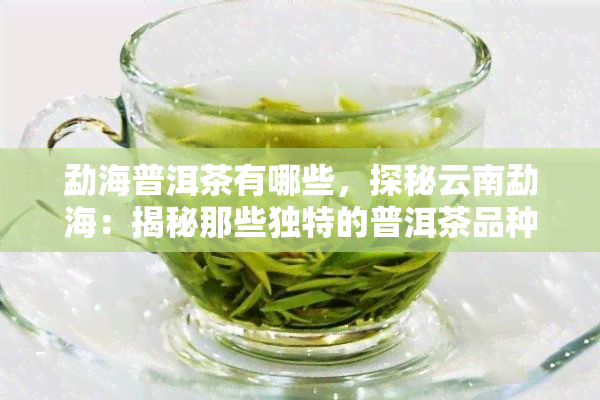 勐海普洱茶有哪些，探秘云南勐海：揭秘那些独特的普洱茶品种