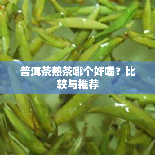 普洱茶熟茶哪个好喝？比较与推荐