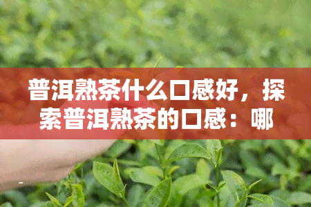 普洱熟茶什么口感好，探索普洱熟茶的口感：哪种更好？