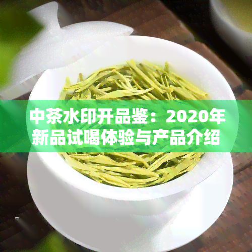 中茶水印开品鉴：2020年新品试喝体验与产品介绍